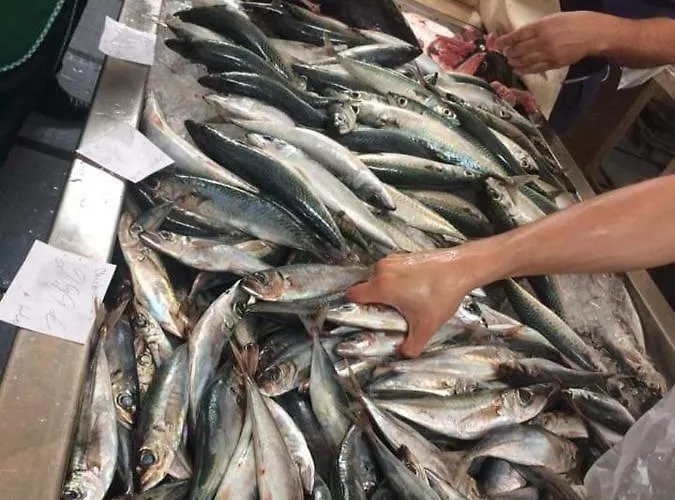 Charming House Appartement *