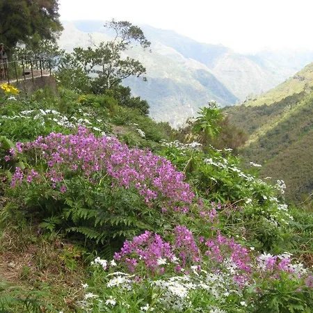 Charming House * Santana (Madeira)