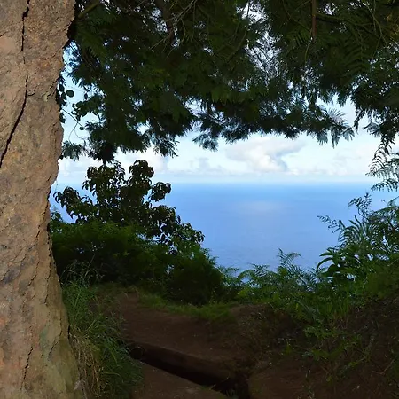 Charming House * Santana (Madeira)
