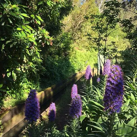 Charming House * Сантана