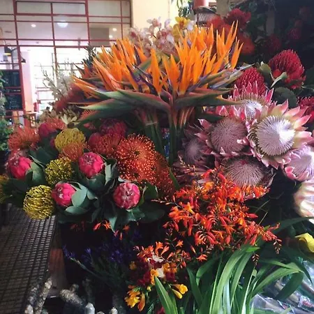 Charming House Apartament