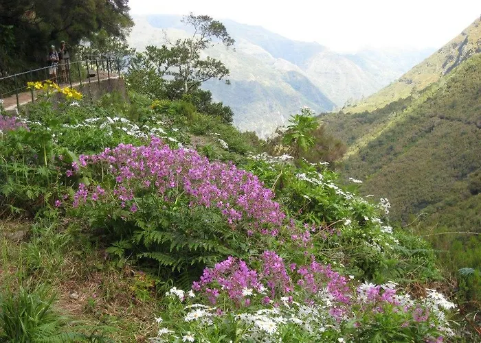 Charming House * Santana (Madeira)