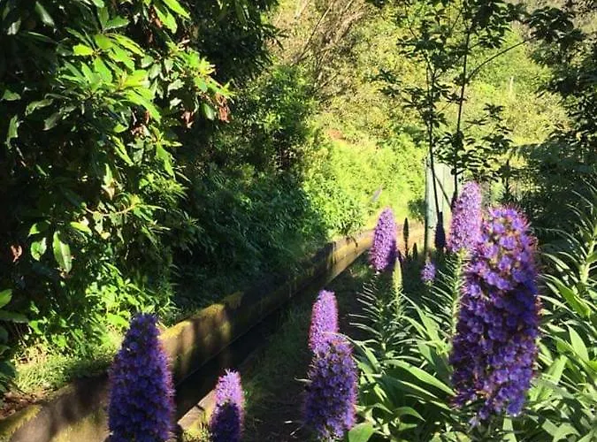 Charming House * Santana (Madeira)