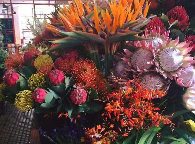 Charming House Apartament